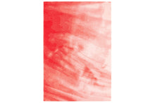 画像をギャラリービューアに読み込む, TOCHI / レッド