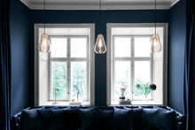 画像をギャラリービューアに読み込む, ANOLI 1