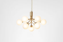 画像をギャラリービューアに読み込む, APIALES 9 CHANDELIER
