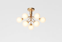 画像をギャラリービューアに読み込む, APIALES 9 CEILING