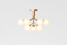 画像をギャラリービューアに読み込む, APIALES 9 CEILING