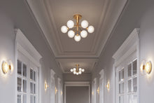 画像をギャラリービューアに読み込む, APIALES 9 CEILING