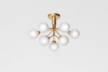 画像をギャラリービューアに読み込む, APIALES 9 CEILING