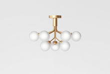 画像をギャラリービューアに読み込む, APIALES 9 CEILING