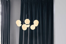 画像をギャラリービューアに読み込む, APIALES 9 CHANDELIER