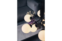 画像をギャラリービューアに読み込む, APIALES 9 CHANDELIER