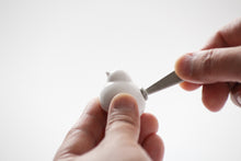 画像をギャラリービューアに読み込む, Bird Call