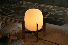 画像をギャラリービューアに読み込む, CESTITA METALICA