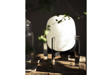 画像をギャラリービューアに読み込む, CESTITA METALICA