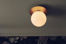 画像をギャラリービューアに読み込む, LIILA 1