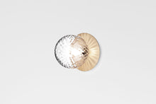 画像をギャラリービューアに読み込む, LIILA 1