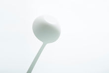 画像をギャラリービューアに読み込む, TATE OTAMA