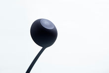 画像をギャラリービューアに読み込む, TATE OTAMA