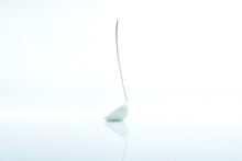 画像をギャラリービューアに読み込む, TATE OTAMA