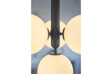 画像をギャラリービューアに読み込む, MIIRA 4