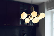 画像をギャラリービューアに読み込む, APIALES 9 CHANDELIER