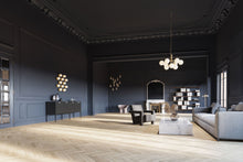 画像をギャラリービューアに読み込む, APIALES 9 CHANDELIER