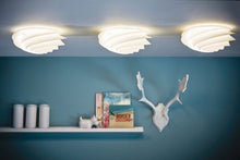 画像をギャラリービューアに読み込む, SWIRL CEILING