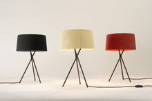 画像をギャラリービューアに読み込む, TRIPODE M3