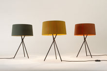 画像をギャラリービューアに読み込む, TRIPODE M3