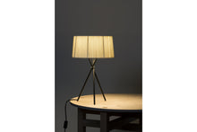 画像をギャラリービューアに読み込む, TRIPODE M3