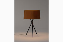 画像をギャラリービューアに読み込む, TRIPODE M3