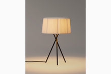 画像をギャラリービューアに読み込む, TRIPODE M3