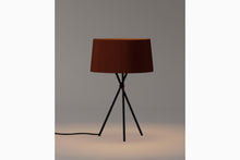 画像をギャラリービューアに読み込む, TRIPODE M3