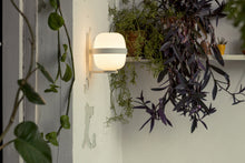 画像をギャラリービューアに読み込む, WALLY