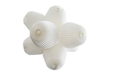 画像をギャラリービューアに読み込む, BOUQUET 5