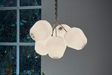 画像をギャラリービューアに読み込む, BOUQUET 5