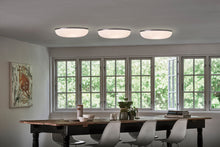 画像をギャラリービューアに読み込む, LAMELLA CEILING